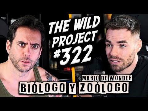 The Wild Project #322 - Mario de Wonder | Animales mutantes de CHERNÓBIL, El depredador de humanos