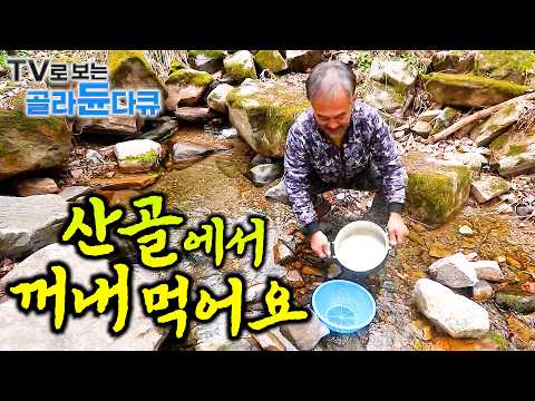 🌿산골이 밥을 먹여주네. 오지에 사는 사람들이 잘 먹고 잘 사는 법🌿｜노후 귀촌｜ 오지에 사는 사람들 1시간 몰아보기｜한국기행｜#tv로보는골라듄다큐