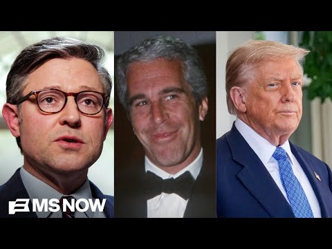 ‘Who owns you?’: Epstein survivor who voted for Trump slams President