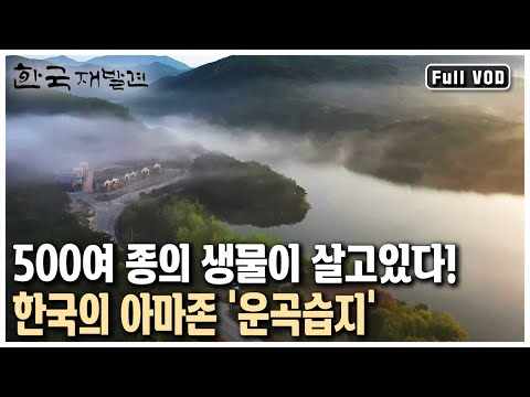 풍천장어와 복분자하면 여기! 천혜의 자연을 자랑하는 전북 고창 (KBS 20130810 방송)
