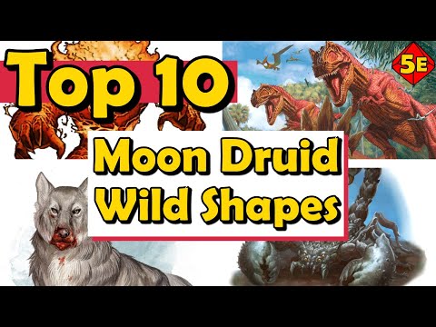 Top 10 Best Moon Druid Wild Shapes in DnD 5E