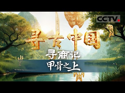 《寻古中国》片片甲骨 刻痕纵横 究竟隐藏着商朝多少不为人知的历史秘密......透过神秘笔画 能否窥探昔日的生活百态？——寻商记·甲骨之上【CCTV纪录】