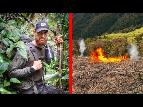 Regenwald zerstört & abgefackelt! 6 Tage durch den Dschungel von Peru | Folge 7