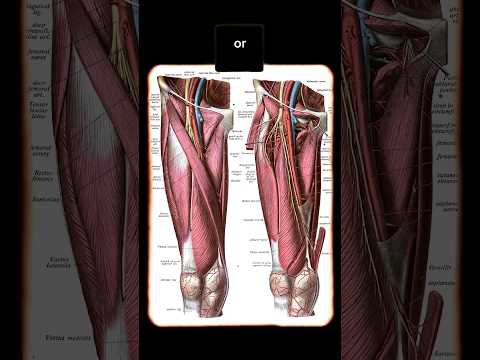 How to become a WW1 nurse 🚑  @chalkehistoryfestival