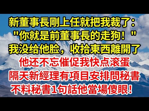 新董事長剛上任就把我裁了：你就是前董事長的走狗！我没给他脸，10分鐘就收拾東西離開了，他还不忘催促我快点滚蛋，隔天新經理有項目安排問秘書，不料秘書1句話他當場傻眼！#正能量 #故事分享 #故事頻道