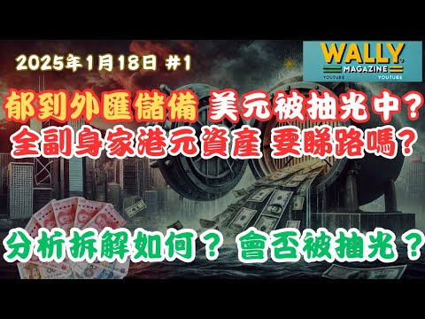 香港美元外匯儲備真係被抽光中?持港元資產要注意嗎?透過香港發人民幣債國際化,人民幣國際化背後操作的風險與影響!外資若不買,港埋單?