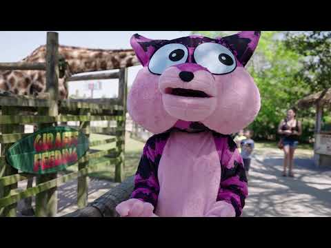 Dribbles is on the way to the zoo See Ya