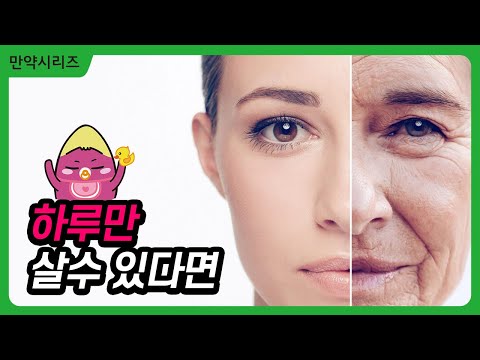 🍠 What if we only had one day to live? (feat. Mayfly)