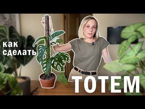 Как сделать опору для растения? /DIY тотем для комнатных растений / опора своими руками со мхом