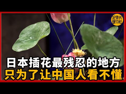日本插花最恐怖的地方，只为了让中国人看不懂才这么做的？#圆桌派 #历史 #文化 #聊天 #纪实 #窦文涛 #马未都 #马家辉 #黄晓丹 #熱門 #推薦 #香港