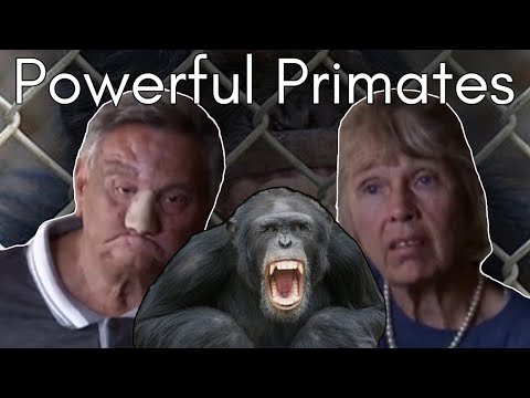 The Story of Moe the Chimp: How St. James and LaDonna Davis’s “Son” Destroyed Lives