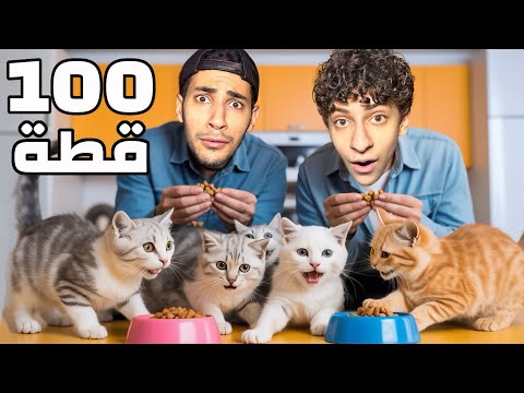 البحث عن 100 قطة في الشارع و اطعامهم🐈 | صارت كارثة😱