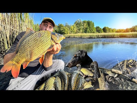 Спустил заброшенный пруд. А там монстры. Ловля неводом