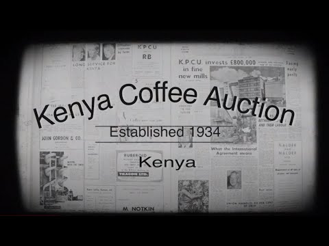 Coffee Kenya 2019 Documentary