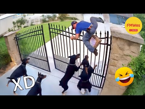 IF YOU LAUGH YOU LOSE GOD LEVEL #574 🤣 TOP 100 FUNNIEST VIDEOS OF ALL TIME 😆