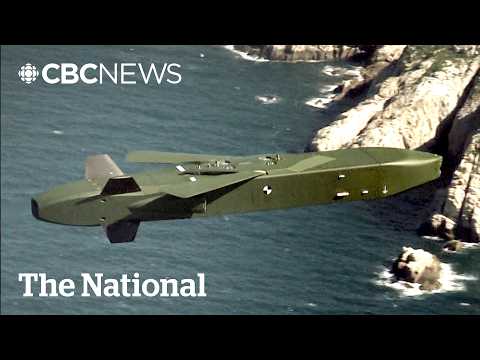 Why Russia is worried about Germany’s Taurus missile