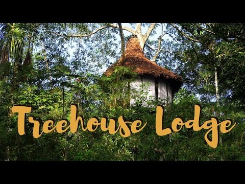 Amazon Treehouse Lodge ๐ณ Sleeping in the Jungle, Piranha Fishing & Wildlife ๐ฆ Peru Adventure ๐ต๐ช๐