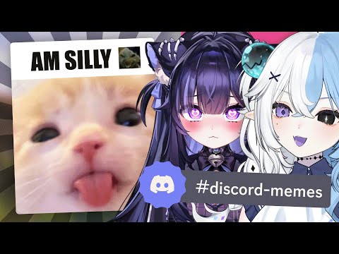I Showed my Friend my Chat's SILLIEST MEMES (Spoiler: THEY SUCKED)