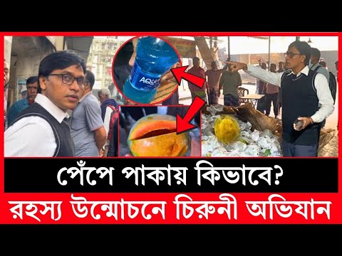 পেঁপে পাকায় কিভাবে? রহস্য উন্মোচনে ভোক্তা অধিকারের চিরুনি অভিযান, অতপর| Daily Issues | Vokta odhikar