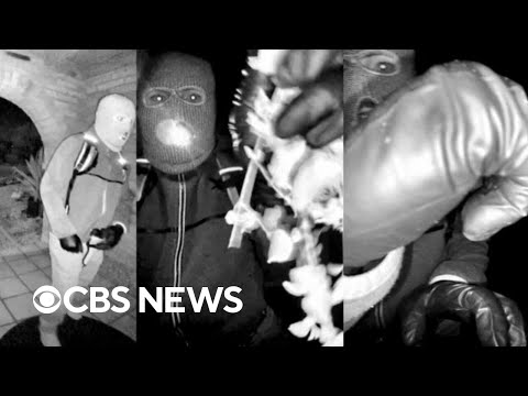 Former FBI profiler examines new video of masked person outside Nancy Guthrie's home