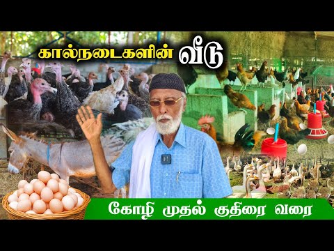 🐔 All livestock in one place!