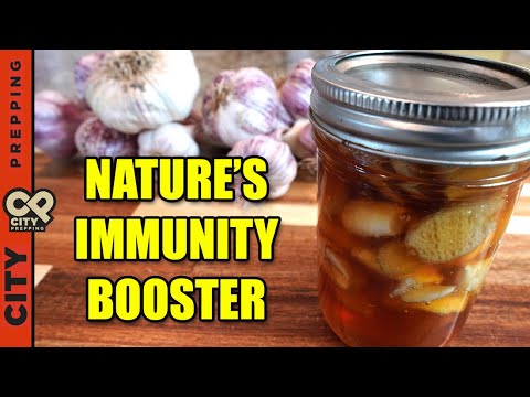 How to Make Fermented Garlic Honey