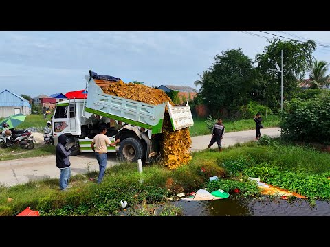 Started Land filling, Soil & Stone, Bulldozer MITSUBISHI BD2F, Dump Truck 5Ton unloading