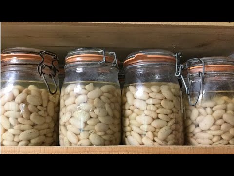 85# Preparation of 57 cans of "homemade" Tarbais beans