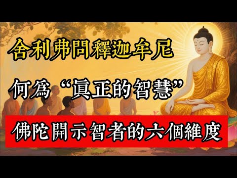 舍利弗問釋迦牟尼，何為“真正的智慧”，佛陀開示智者的六個維度#佛教 #佛家 #佛法 #佛學知識 #佛學智慧 #修心修行 #佛教文化 #禪悟人生