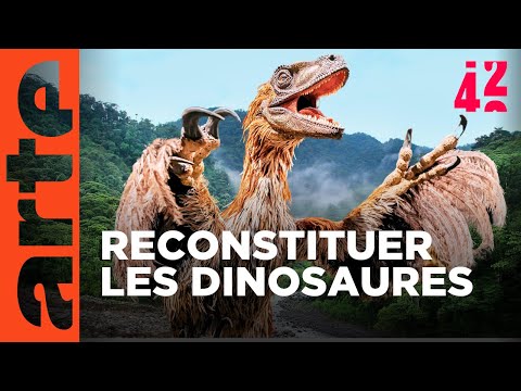 À quoi ressemblaient les dinosaures ? | 42 - La réponse à presque tout | ARTE