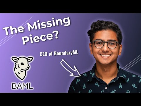 How BAML Makes AI AGENTS 10x More RELIABLE? (We grilled the CEO)