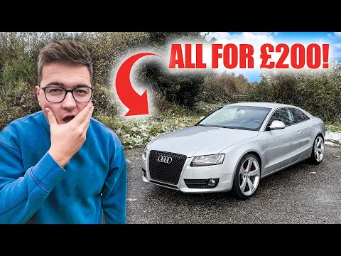 EVERY AUDI OWNER NEEDS THESE MODIFICATIONS