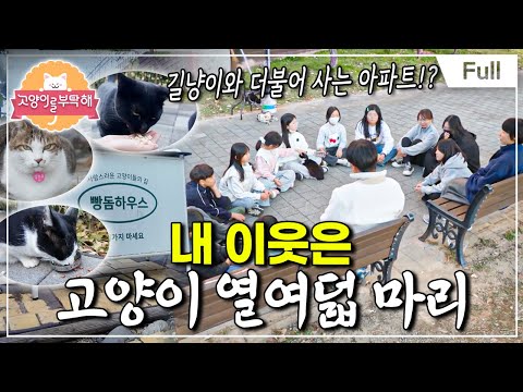 [Full] Please Take Care of My Cat - My Neighbor Has Eighteen Cats