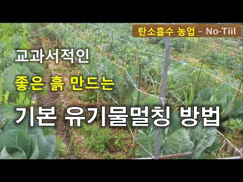 고퀄리티 치유농업 토양 살리기 교과서적 유기물멀칭 방법