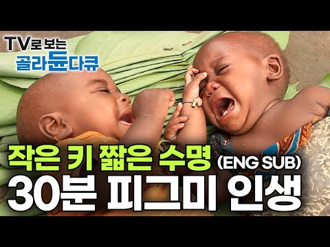 Marriage at 10, childbirth 20 times, lifespan in their 30s. A Pygmy life seen in 30 minutes.