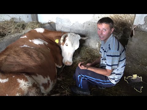 Nisam pustio majku da govori, s polubraćom treba ostati u dobrim odnosima