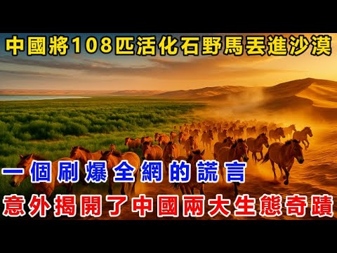 中國將108匹活化石野馬丟進沙漠！一個刷爆全網的謊言！意外揭開了中國兩大生態奇蹟！