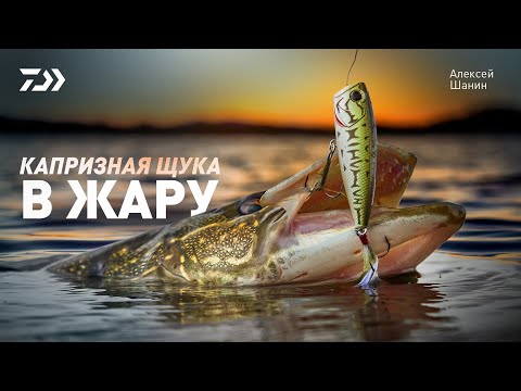 Капризная щука в жару x Алексей Шанин