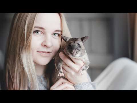 20 фактов о содержании ГИГАНТСКОЙ КРЫСЫ! И заполнят ли они метрополитен?