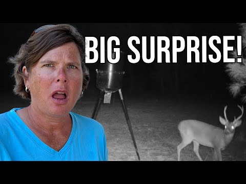 You Won't Believe What We Caught On Camera