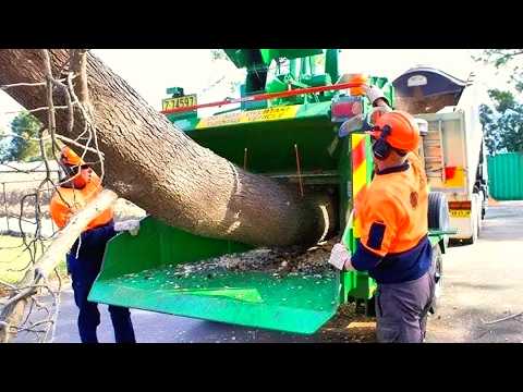 Amazing Powerful Wood Chipper Machines USA Working (original sound), Tree Shredders Real Operation
