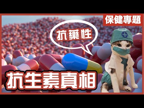 一個發霉哈蜜瓜改變世界!|濫用抗生素引發的健康危機|破壞人體與微生物之間的平衡|不是陰謀論|中文字幕