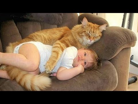 When Your Cats Become the Sweetest Babysitters ❤️😺