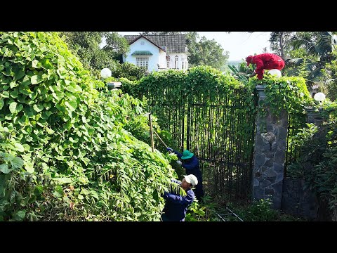 He Left for 3 Years — Nature Almost Erased His Abandoned Villa