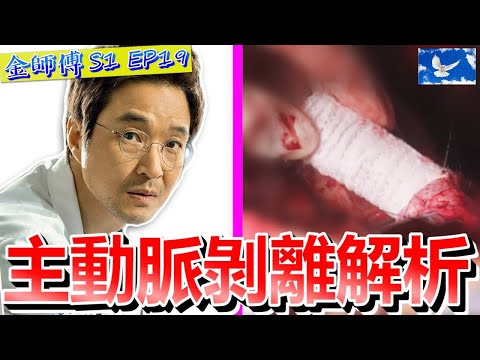 「主動脈剝離」經典症狀與手術方式 | 浪漫醫生金師傅S1EP19 X 醫學深度解析 | 蒼藍鴿評評理EP31