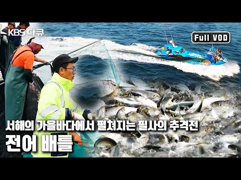팽팽한 속도전! 70대 노인에서 24살 막내까지 전어 잡이를 위한 80일간의 동고동락 '가을바다, 3부자의 전어 추격전' (KBS 20161008 방송)