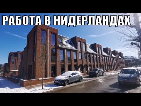 WHAT PROFESSIONS ARE IN DEMAND IN THE NETHERLANDS AND THEIR WAGES