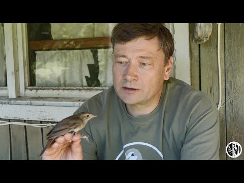 Птицелов.  Документальный фильм.