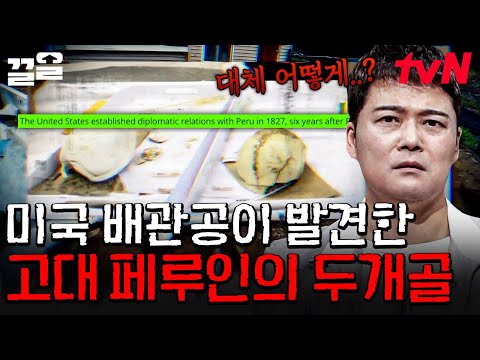 미국에서 발견된 페루인의 흔적?! 미스터리한 두개골의 비밀💀 | 프리한19