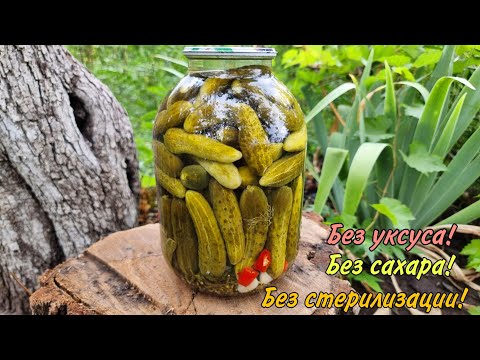 The cold method! Winter cucumbers without vinegar, sterilization, or sugar! Crispy as if straight...